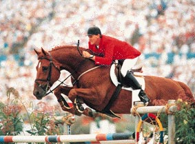 JUS DE POMME - Warmblood Stallion